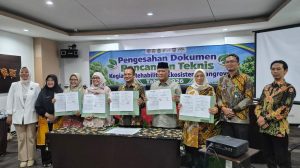 Rehabilitasi Mangrove KHDTK UMB dan KKMD Bengkulu Siap Tanam 20.000 Bibit di Jenggalu